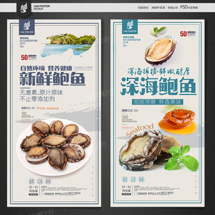 鲍鱼