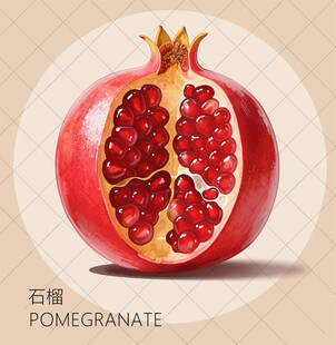 手绘红石榴包装插画