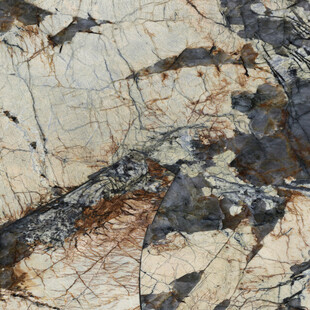  客厅 新传人气纹理 高清大图