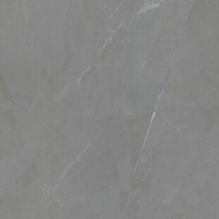 新传 奢雅新款纹理 高清大图 