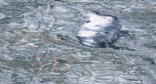 地板 大气新品原石 高清大图 