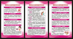 预防出生缺陷日展板