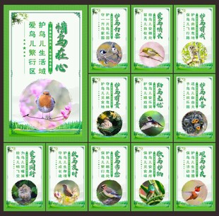 保护鸟类