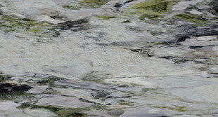 高雅 新传奢华石纹 豪华大图 