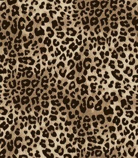 豹纹图案纹理背景图