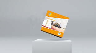 包装盒样机效果橙色包装产品展示