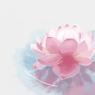 手绘植物花卉梦幻粉色莲花插画