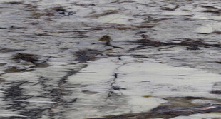 别墅 高清新款石纹 高档大图 