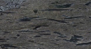 大气 简奢高端石纹 高档大图 