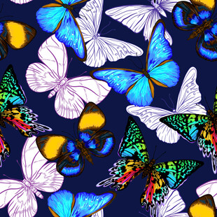 多彩蝴蝶图案背景纹理四方连续数