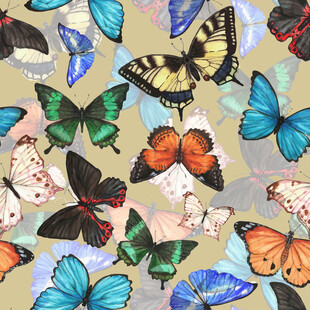 多彩蝴蝶图案背景数码印花