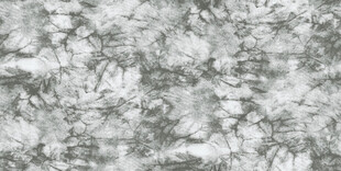 灰白植物纹理图案