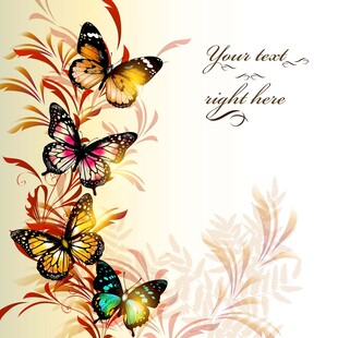 多彩蝴蝶装饰背景图