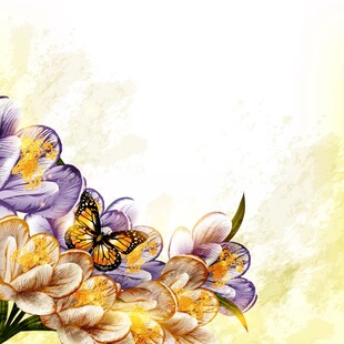 蝴蝶伴花的唯美花卉画面