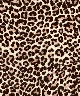 豹纹图案纹理背景