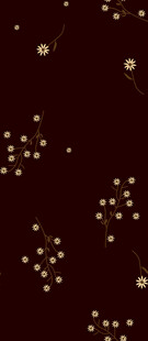 深色背景金色点状装饰图案