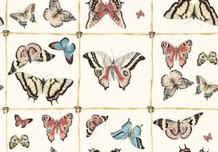 多彩蝴蝶图案装饰画