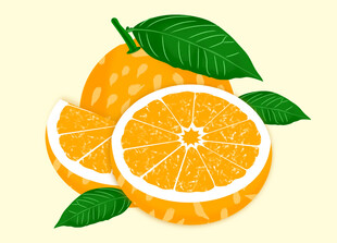 橙子插画
