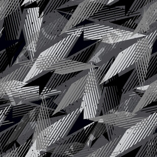 黑白几何叶片纹理图案