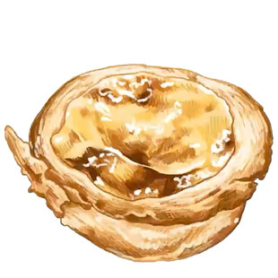 手绘美味蜂蜜坚果面包