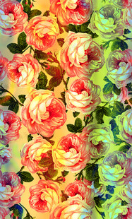 多彩绚烂的玫瑰花束