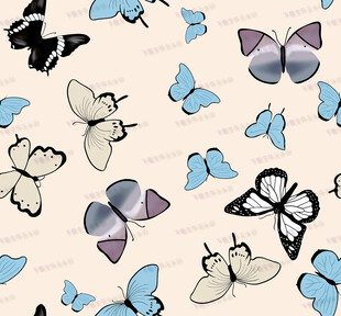 蝴蝶图案背景清新唯美