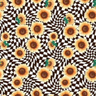 向日葵黑白斑马纹图案