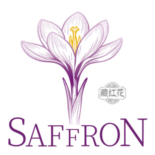 藏红花矢量素材