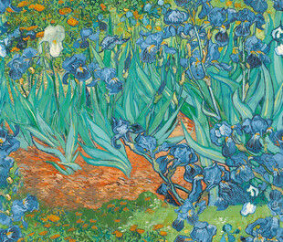 梵高风格鸢尾花油画风景