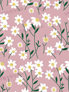 粉色背景小雏菊花卉图案