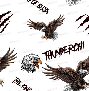 鹰主题图案设计