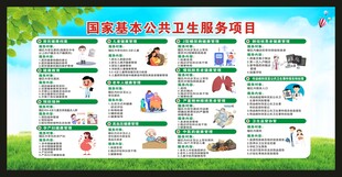 国家基本公共卫生服务项目