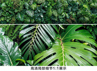 雨林绿叶背景墙壁画