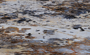 地板 奢华高雅石纹 高档大图 