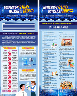 2025中国统计开放日展架