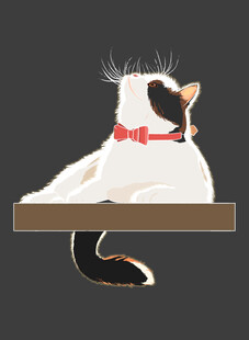 趴着的戴领结猫咪