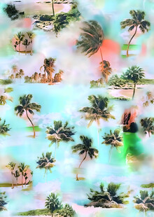 热带风情棕榈树图案背景