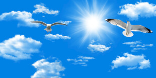 蓝天白云天花软膜