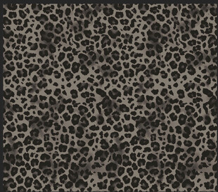 豹纹纹理图案