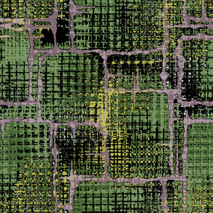 绿色网格状农田俯瞰图
