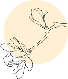 手绘玉兰花枝 矢量图