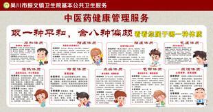 中医药健康管理服务 海报 