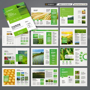 农产品宣传册