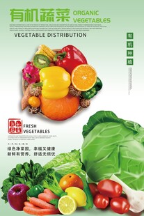 有机蔬菜海报