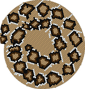 圆形豹纹图案纹理设计