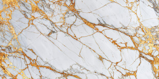 白色金纹大理石纹理