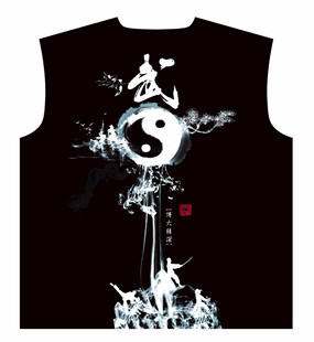 中式太极武术风