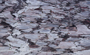 人气 新品最新纹理 高清大图 