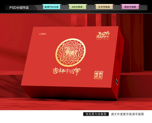 年货礼盒 新年包装