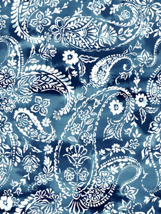 蓝白佩斯利花纹图案